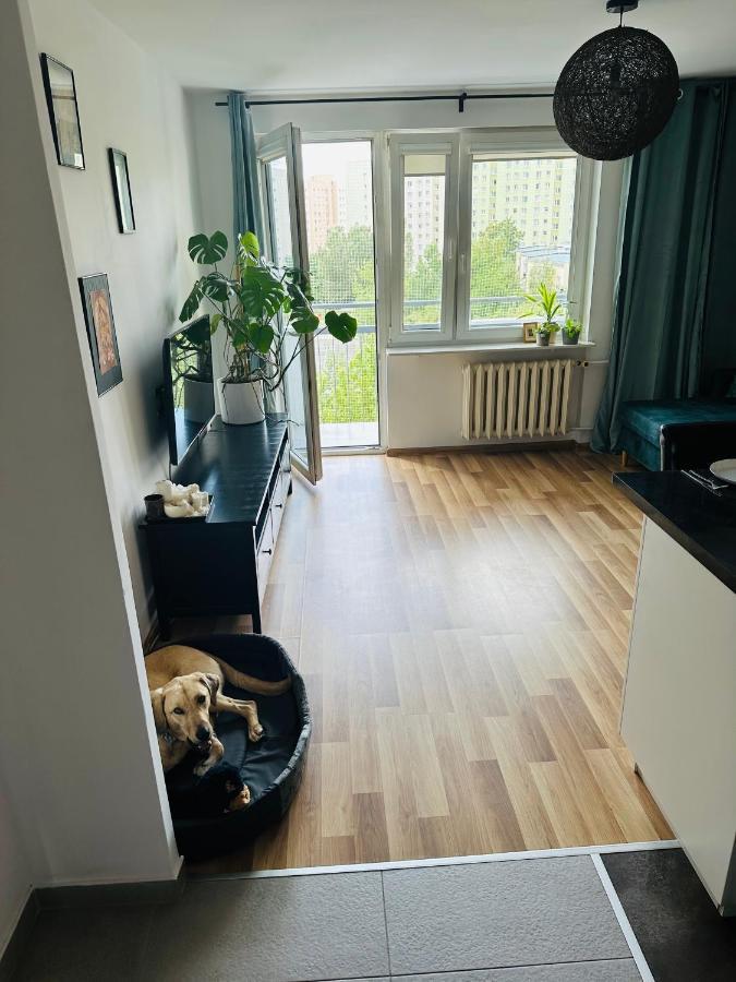 Pet'S House Warsaw Apartment Exterior foto